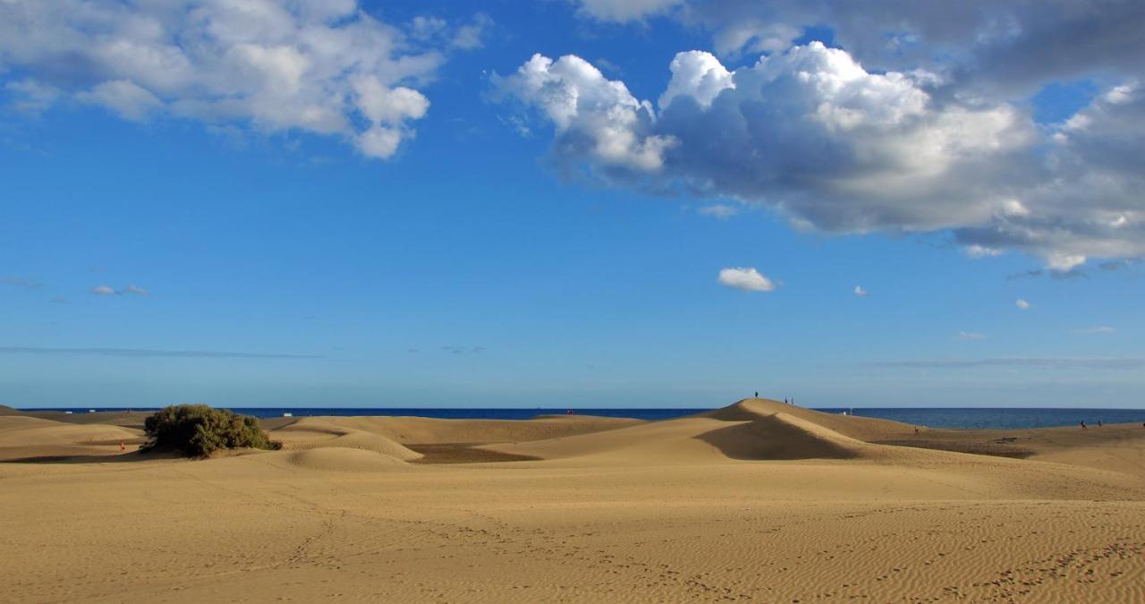Cozy Colorado Pool View #3 Apartment Maspalomas  Exterior foto